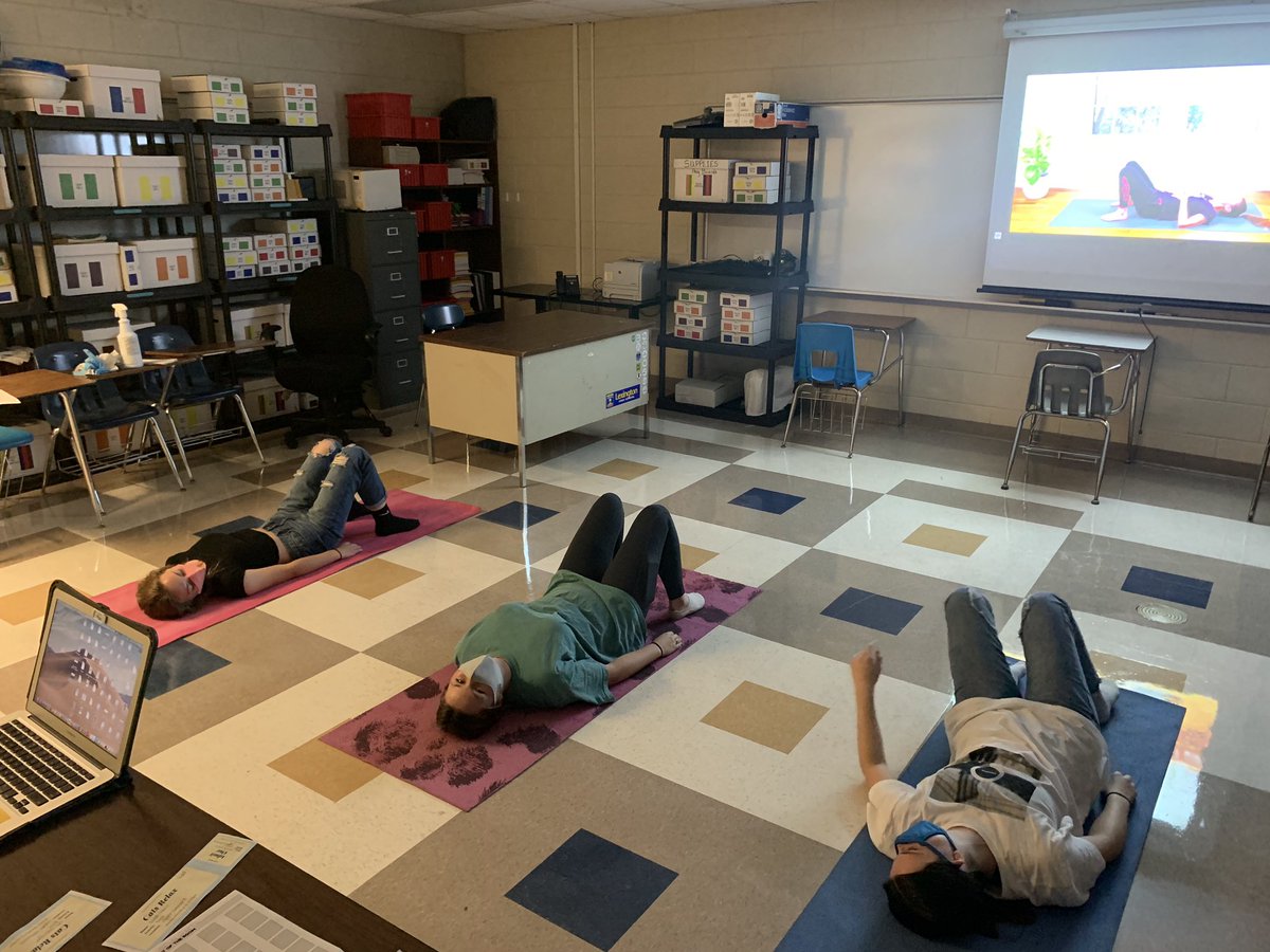 LexCounseling's tweet photo. Cats Relax 2020 - Music Room and Yoga https://t.co/naNXO8PKFW