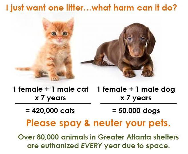 COMM3724Janse's tweet photo. Before uttering the words 'Its part of nature' Know all the facts! Humans have evolved with time to make life easier, why can't animals? Men, you want to be in fights all the time? Women, you want to give birth all the time? 
Because its part of nature? https://t.co/fARgivkPvX