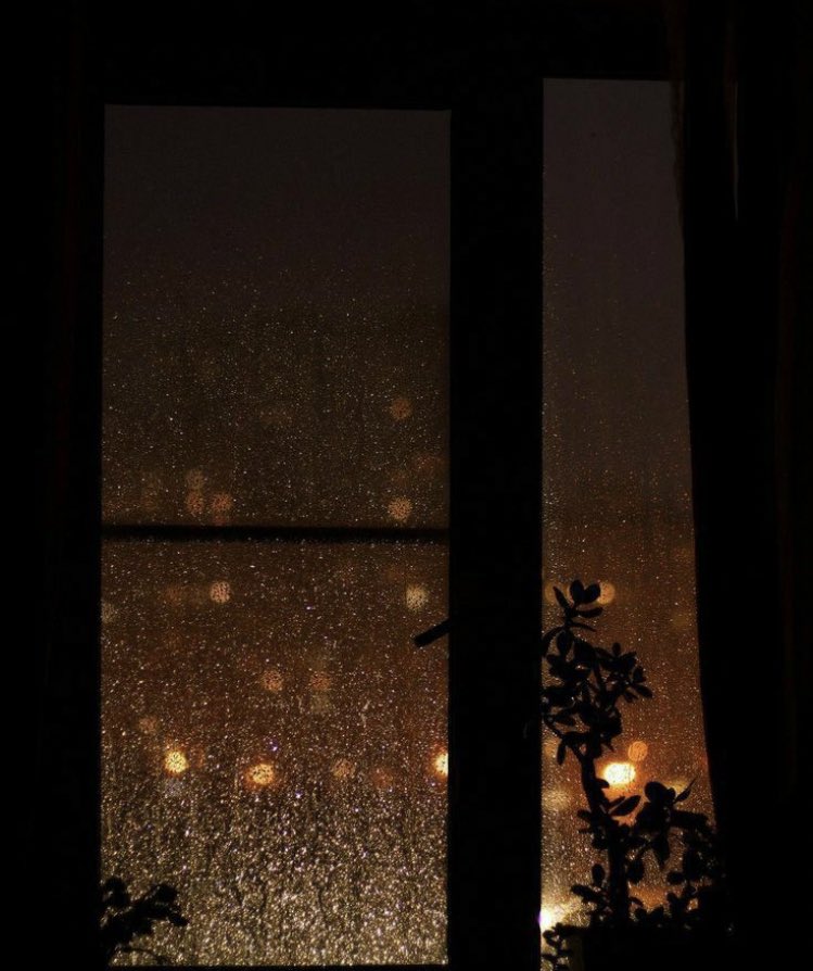 shi82M's tweet photo. #النفسيه_هاليومين_تحتاج
I need them very much🤦🏻‍♀️. https://t.co/drIV3PGuj6