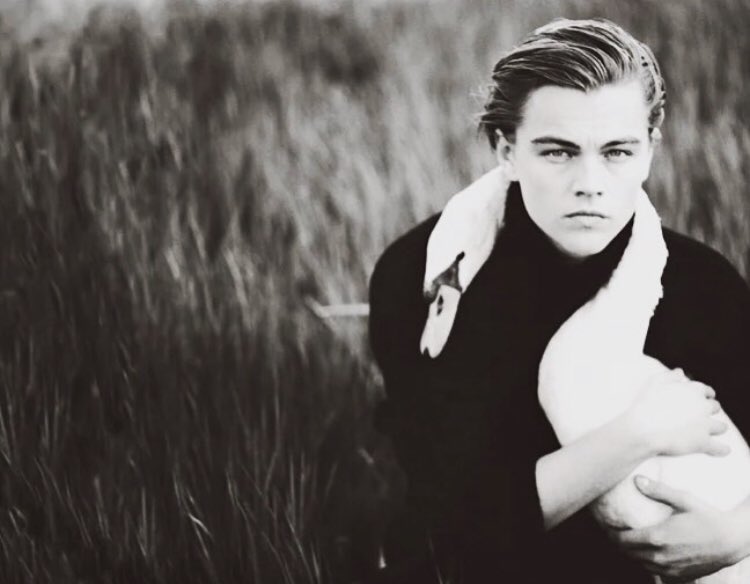 It s Leonardo DiCaprio s birthday!

Here he is giving a swan a little cuddle!

Happy birthday Leo! 