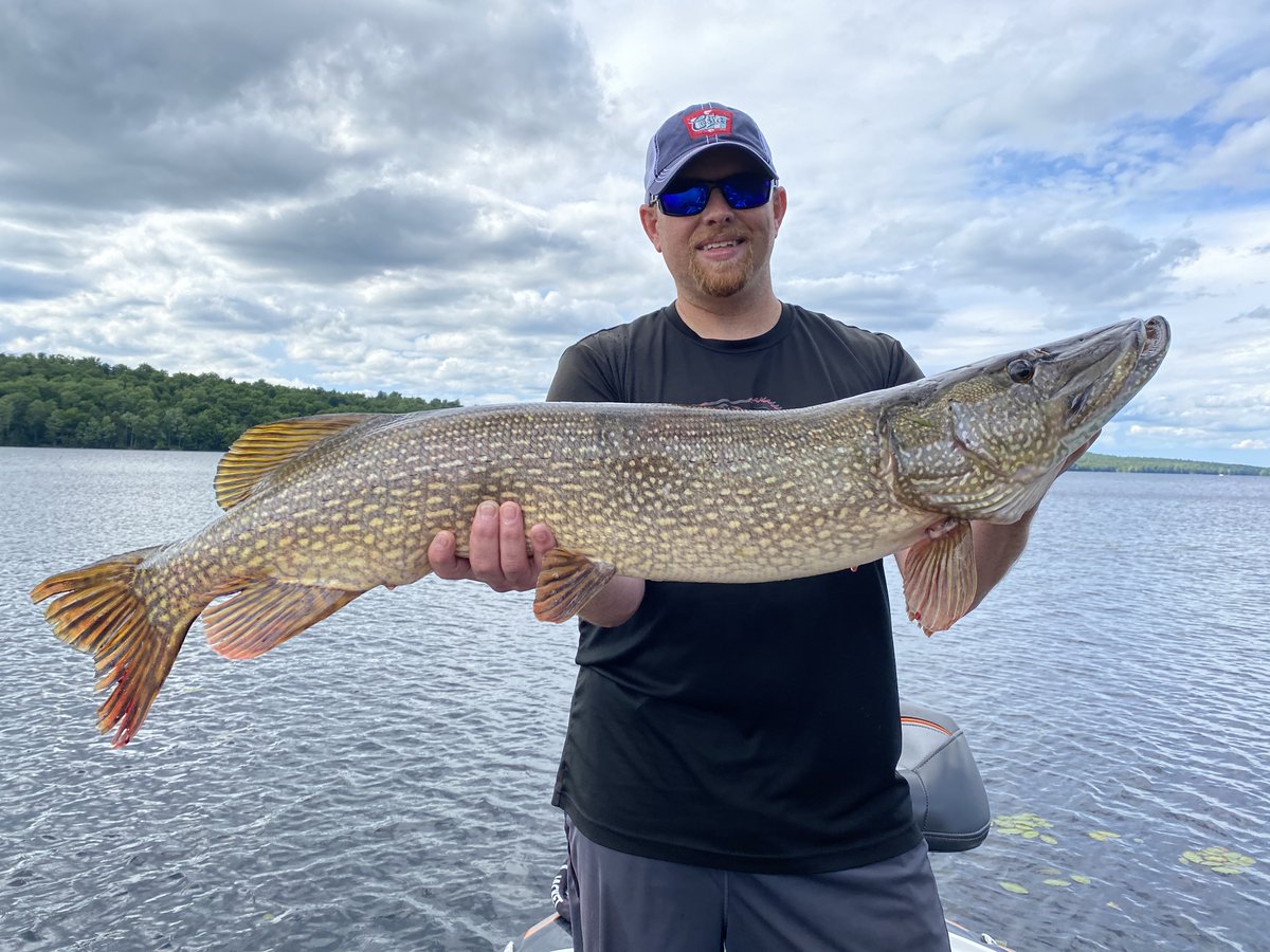 My biggest gator of the year.  Which also slid in as my PB.  

#NorthernPike 
#Pike
