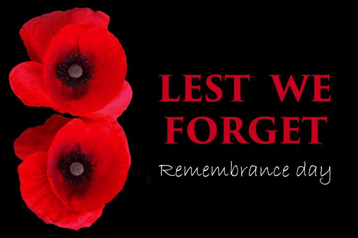 Thank you to those who have fought, and continue to fight, to protect the values that we stand for as Canadians. We respect our past and look forward with hope for our future. Lest we forget.

#remembranceday #LestWeForget #remembranceday2020