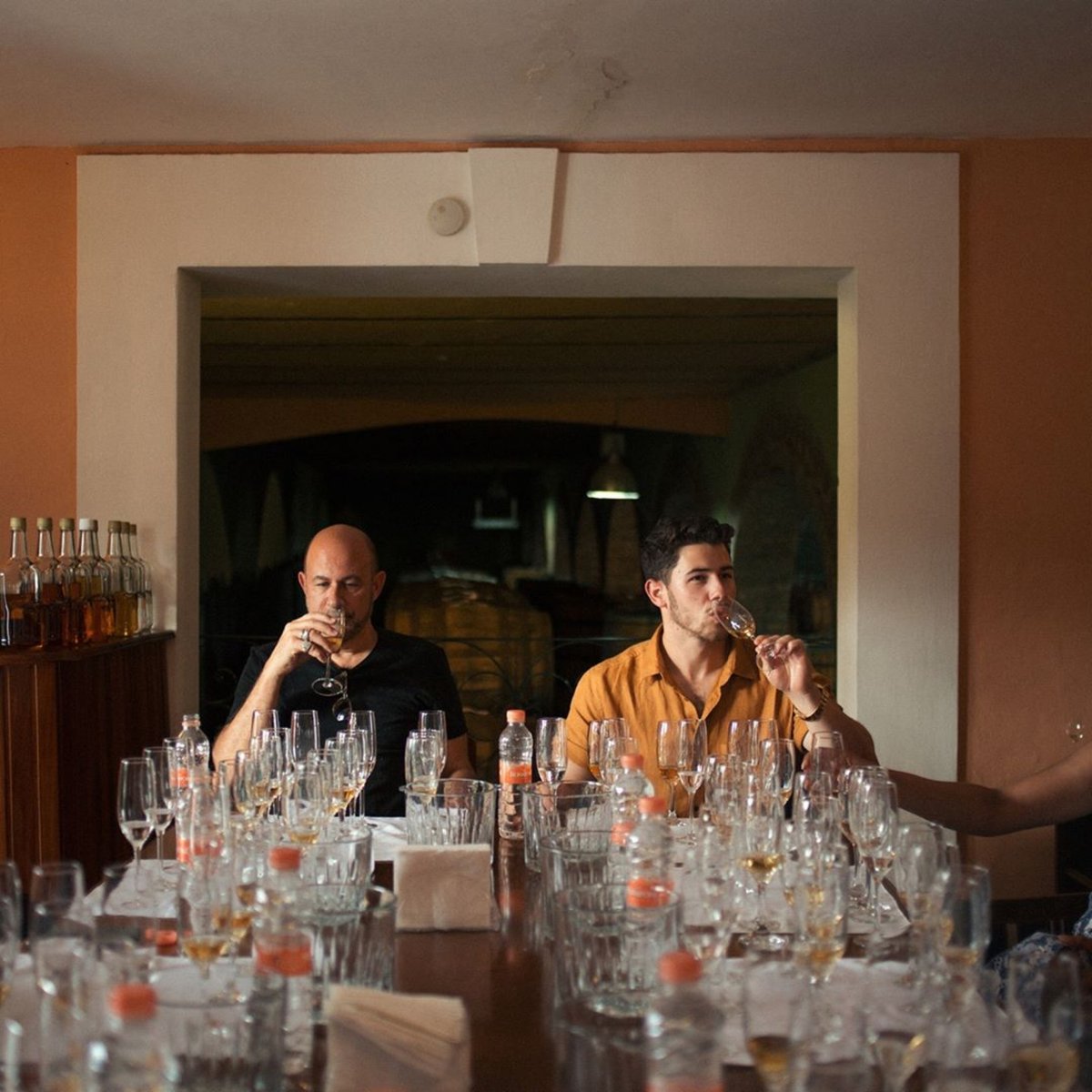 Bud Light 24pk 12oz Beer Logo Budweiser Beer Label