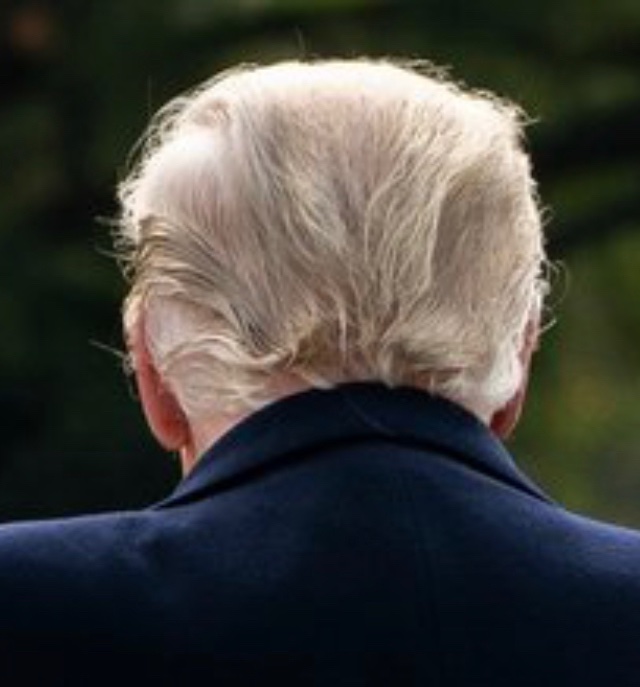 Michael De Cock tweet media