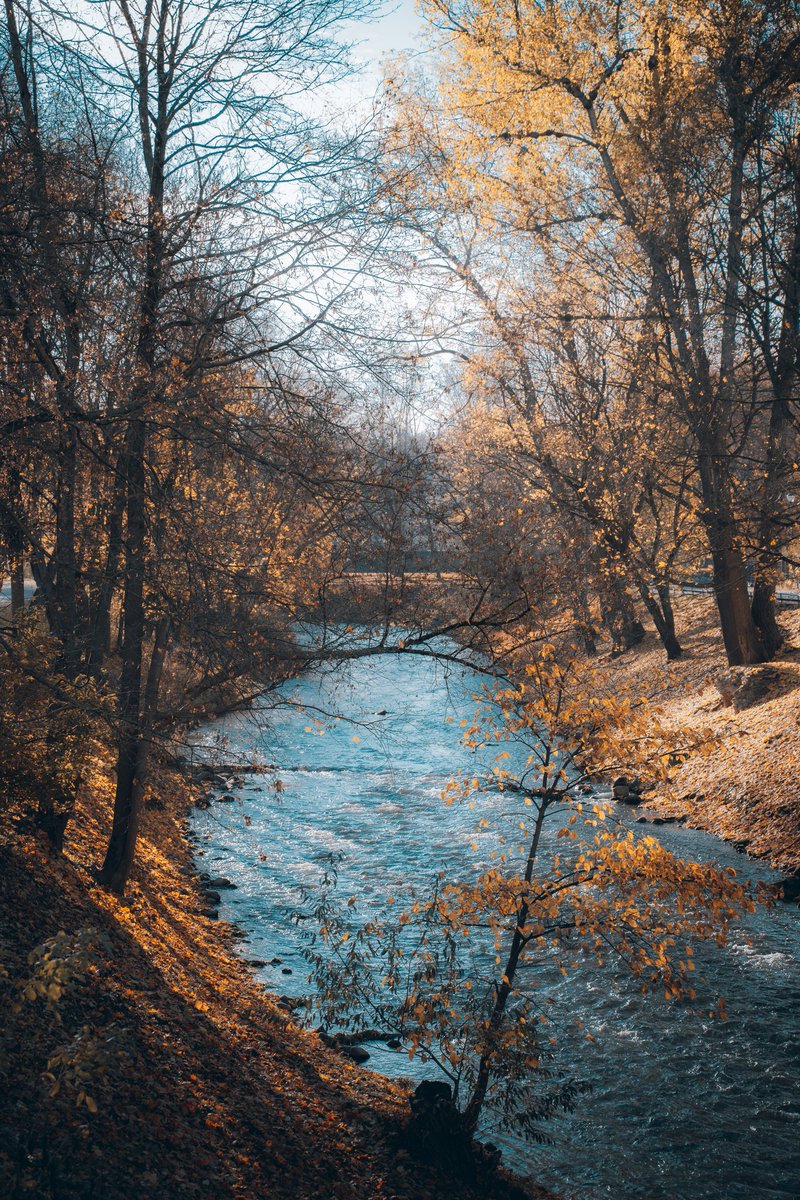 RisuProductions's tweet photo. 『美しい瞬間』
Beauty of the moment!
#streetphotography #sonyalpha #nature #naturephotography #sonya7iii #vilnius #lithuania #autumnvibes🍁 #autumn #autumnphotography #risuadventures
#urbanphotography #sonyusers #写真好きな人と繋がりたい https://t.co/0JOoCTB2sP