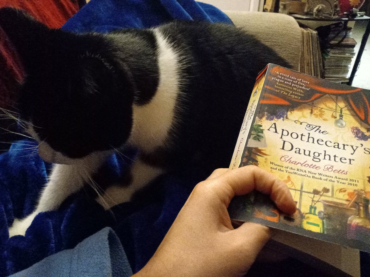 ChantelleSong's tweet photo. Resting on the sofa with my cat and a book I enjoy reading (third time through this time, I think) with a roaring fire in the grate. What better way to relax at the end of the day #catminion #bookworm #bookdevourer #homecomforts https://t.co/p2bt8MKU6X