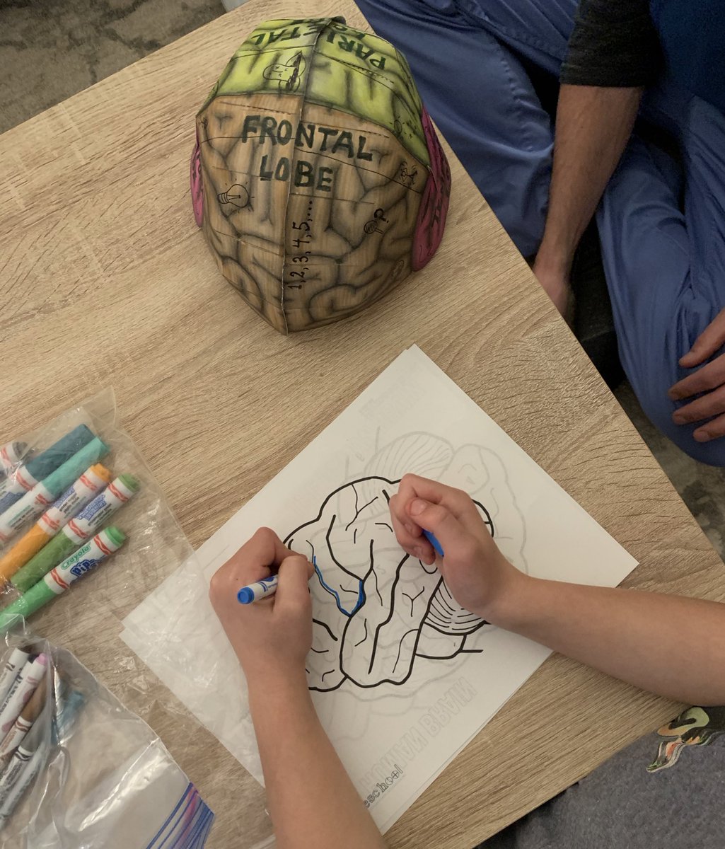 smithjshane's tweet photo. What's on your mind?  Fun with the brain, colouring, and poop - believe it or not - in today's #childlife visit with a little guy!  Applying learning from a #brainhat to playing the game #dontstepinit .  #childlifeinternship     https://t.co/dTlWmHTmII https://t.co/MWtYMAmD3t