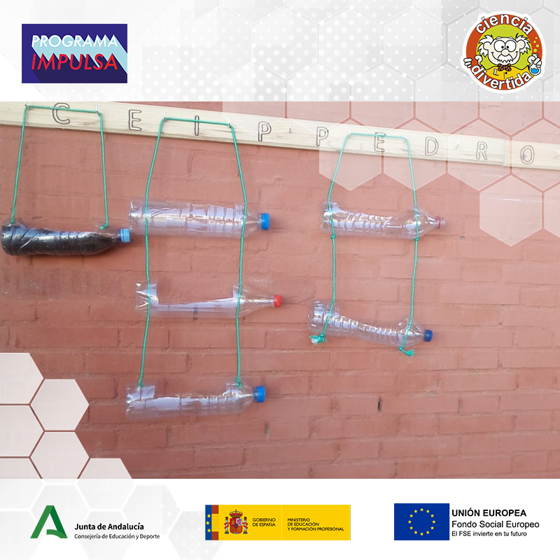 CD_SEVILLA's tweet photo. El upcycling o suprareciclaje nos permite dar rienda suelta a nuestra creatividad. Como el CEIP Pedro Garfias, donde estamos creando unos jardines verticales reutilizando envases de plástico. #cienciadivertida #programaimpulsa https://t.co/65N8pNkbbs