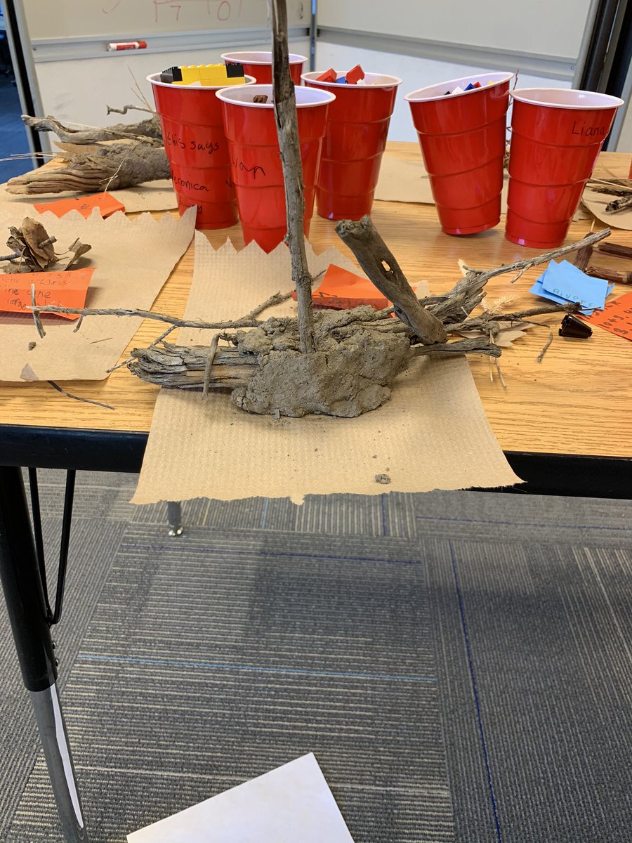 missbbloss's tweet photo. 5th grade made boats out of natural resources to see if they would float. #density talk.#scoveel https://t.co/jRleEAiO3n