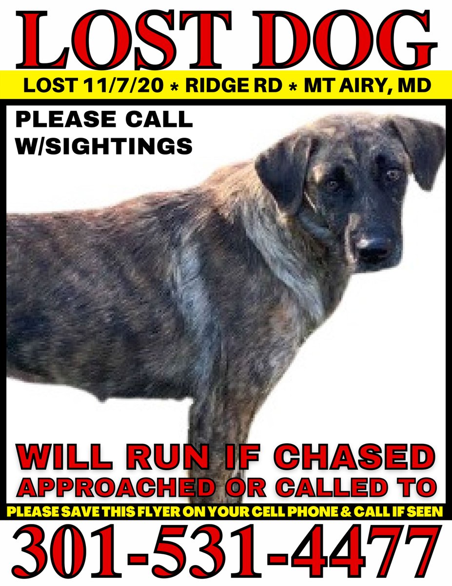 URGENT - LOOSE DOG - MT AIRY.  
LAST SEEN IN NEW MARKET 11/10
Do Not Approach, call 301-531-4477 if she is sighted. MAGSR.org/911 for more