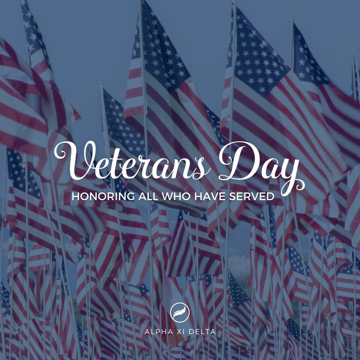 Alpha Xi Delta tweet media