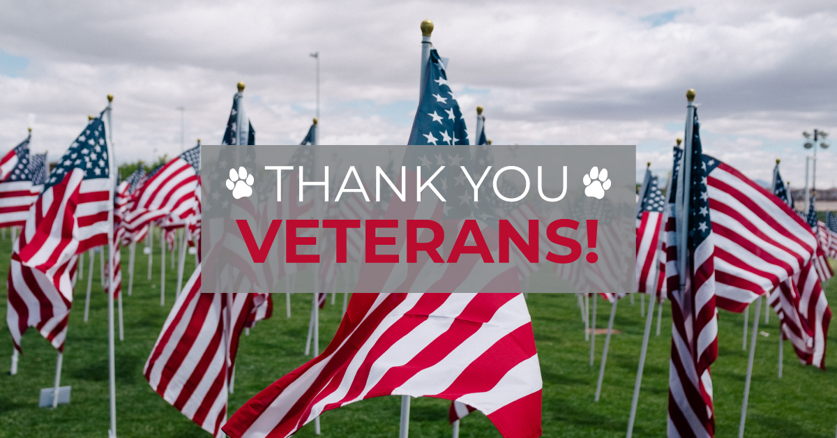 Thank you for your service to all veterans. At 11 a.m., a student brass group will conduct two performances in front of FSC then moving to Burnham Circle. After that, a trio of trumpeters that includes Dean of Students Dr. Tijuana Julian will play Echo Taps down Drury Lane.