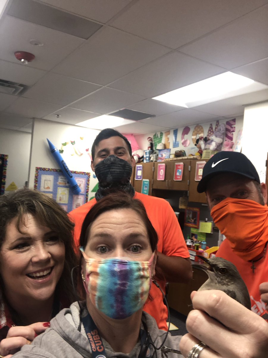 mrs_nyland's tweet photo. Coach Nacho and Coach Tatertot helped us get a bird out of the classroom! @kquisenberry3 @EddinsElem 😂💜#adventuredash https://t.co/XiIuC8WP11