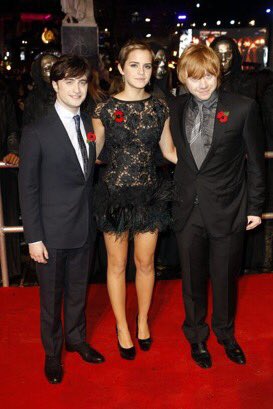 Harry_Potter_TM's tweet photo. 11 de noviembre del 2010: Tal día como hoy, se estrenaba en Londres “Harry Potter y las Reliquias de la Muerte: Parte 1”. https://t.co/RoqmFQJxD0