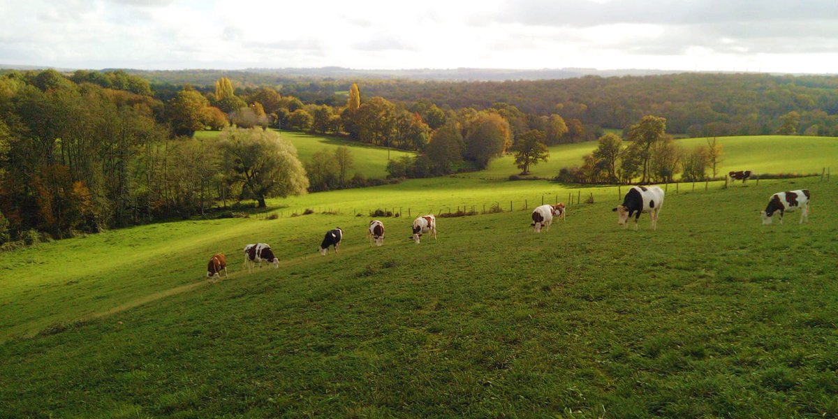 aAaWeeks's tweet photo. Views from France while analyzer @EnnioLiesens works at the farm of Arno Wijcherson last week.
#aAaWeeks #SireTheNeed #BetterFormBetterFunction https://t.co/rWPL9LryJw