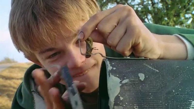 fotogramas_es's tweet photo. Leonardo DiCaprio cumple 46 años. Repasamos su carrera de la A a la Z
https://t.co/MS26zT8Yqy https://t.co/nMYuE91KDO