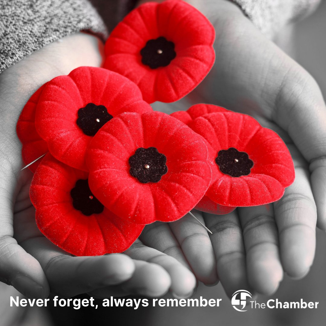 ChamberYGK's tweet photo. They shall grow not old, as we that are left grow old;
Age shall not weary them, nor the years condemn.
At the going down of the sun and in the morning
We will remember them.
We will remember them.

#RemembranceDay https://t.co/sZ96BSICzD