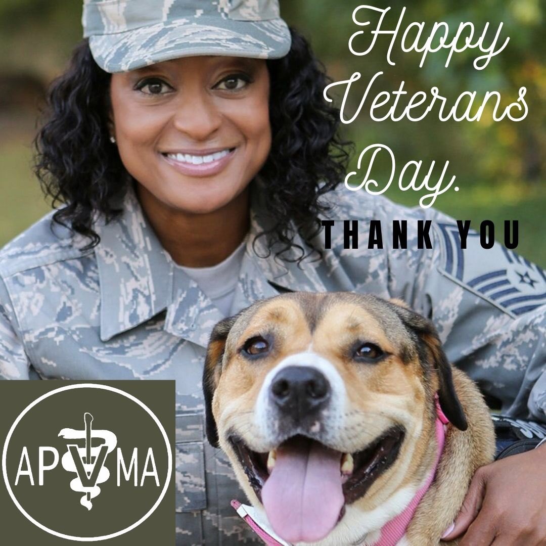 apvma_prevets's tweet photo. The APVMA thanks all of the service men and women who have fought hard for this country! 
👏👏🏻👏🏼👏🏽👏🏾👏🏿
We also cannot forget the furry helpers who kept them strong! 🐶🐴🦮. https://t.co/nqC1DlsHrW