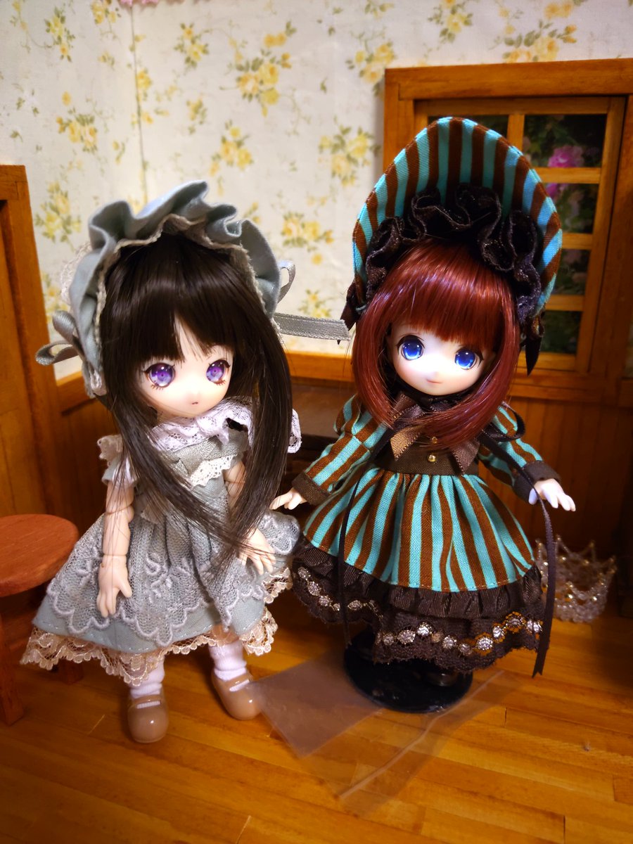 KotoneDoll's tweet photo. うちの子紹介。
ステラ(雪Delia)
メグ(あまむす・メティ)
深琴(あまむす・ミント)
エマ(元あまむす・エルダー→オビツ24ボディに転生)

#ドールオーナーさんと繋がりたい 
#ドール 
#ドールとオーナー 
#あまむす 
#オビツ https://t.co/NRRPbshvnv