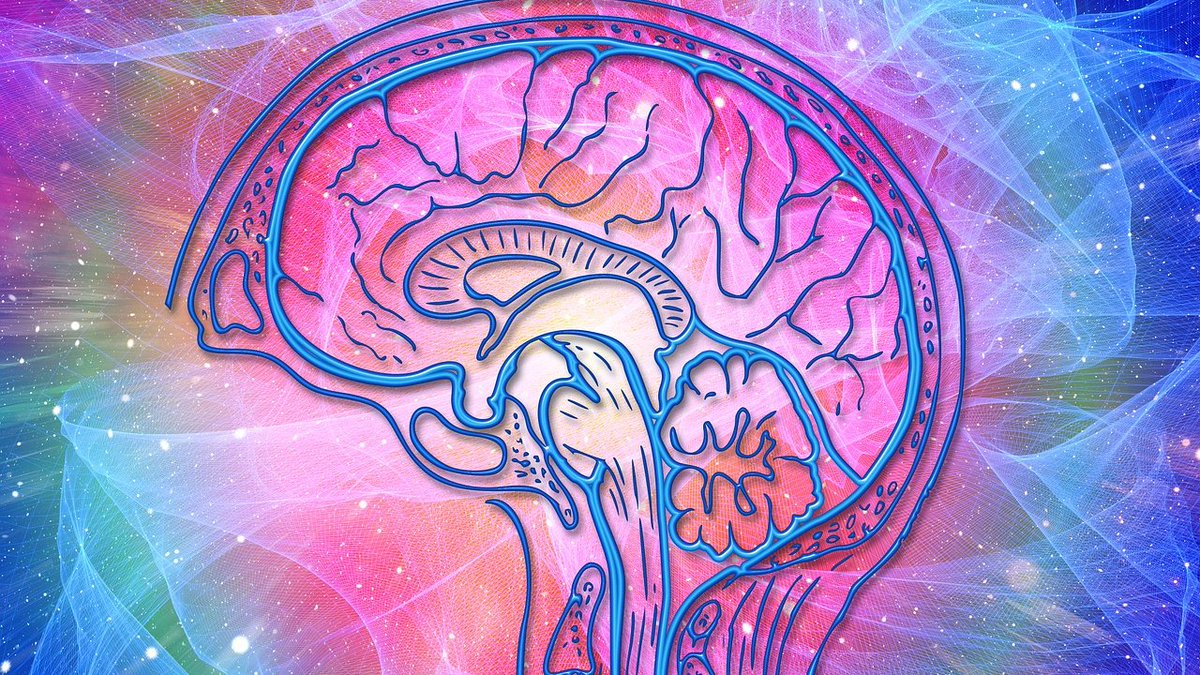 MINDSET - Work on your self esteem and self worth- Continuously learn about your psychology- Update your beliefs to healthy beliefs- Accept your past and move forward- Seek therapy (CBT, Mindfulness, etc)