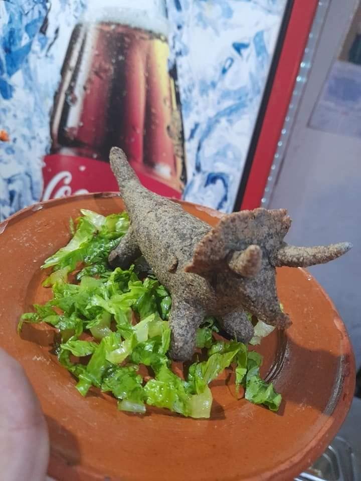 mexdesconocido's tweet photo. Conversamos con Abraham Padilla, un joven de origen coahuilense que se hizo viral gracias a sus innovadoras y deliciosas dinoquesadillas. ¡Conócelo! https://t.co/54DLIQFfhj https://t.co/dOc5lpJdAi