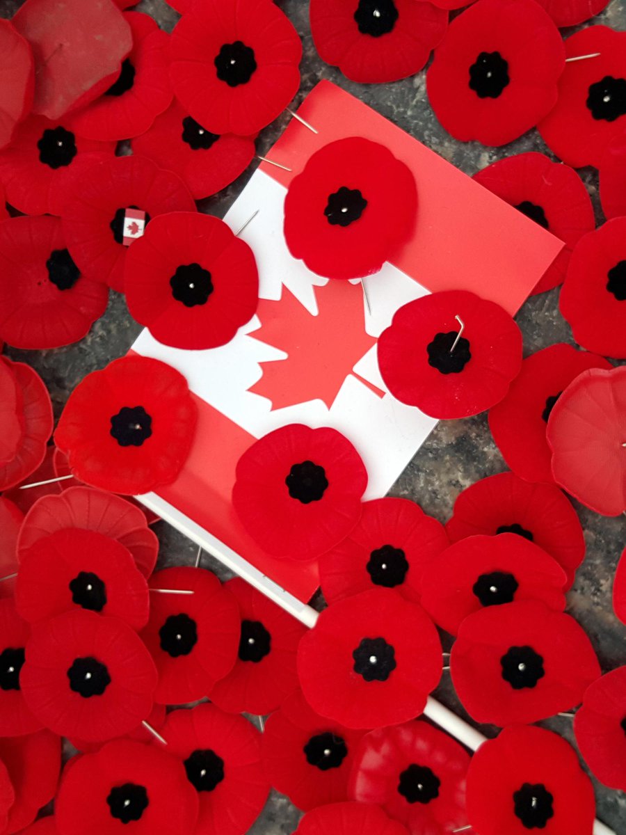 Today we honour those who are serving or who have gave their lives for us. Their bravery and sacrifice will never be forgotten. #WeRemember 🇨🇦 Aujourd'hui, nous rendons hommage aux personnes qui ont servi, qui continuent de servir, ou qui ont donné leur vie pour nous. 🇨🇦