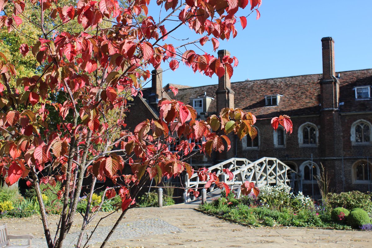 QueensCam's tweet image. A message from the President: 

Queens' College is currently advertising as widely as possible for a Senior Tutor. Please do look on our website for more information and/or do pass it on to anyone you feel might be suitable.

queens.cam.ac.uk/senior-tutor