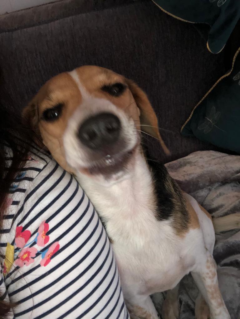 Smile for the camera 📸