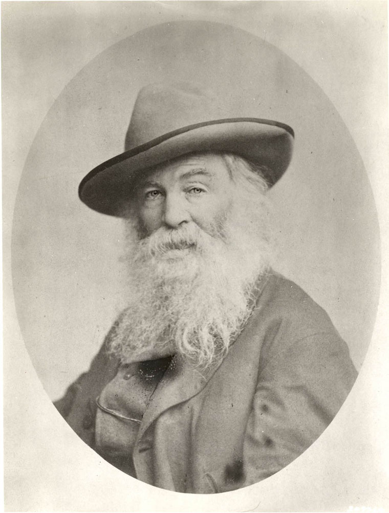Walt Whitman Archive tweet media