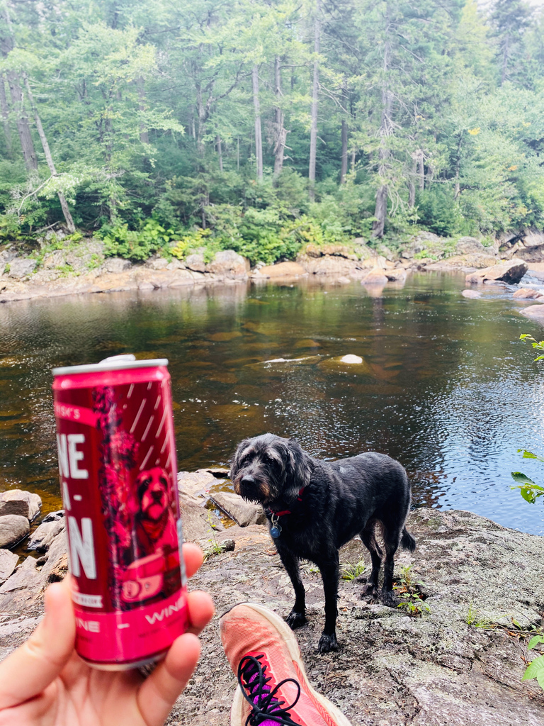GrahamandFisk's tweet photo. The look Crosby gives when you ask him how it feels to be pictured on every can of our wine. He's a humble guy.๐ #Crosbythedog #firehousedogs #wineinacan https://t.co/0HSexjC6yU