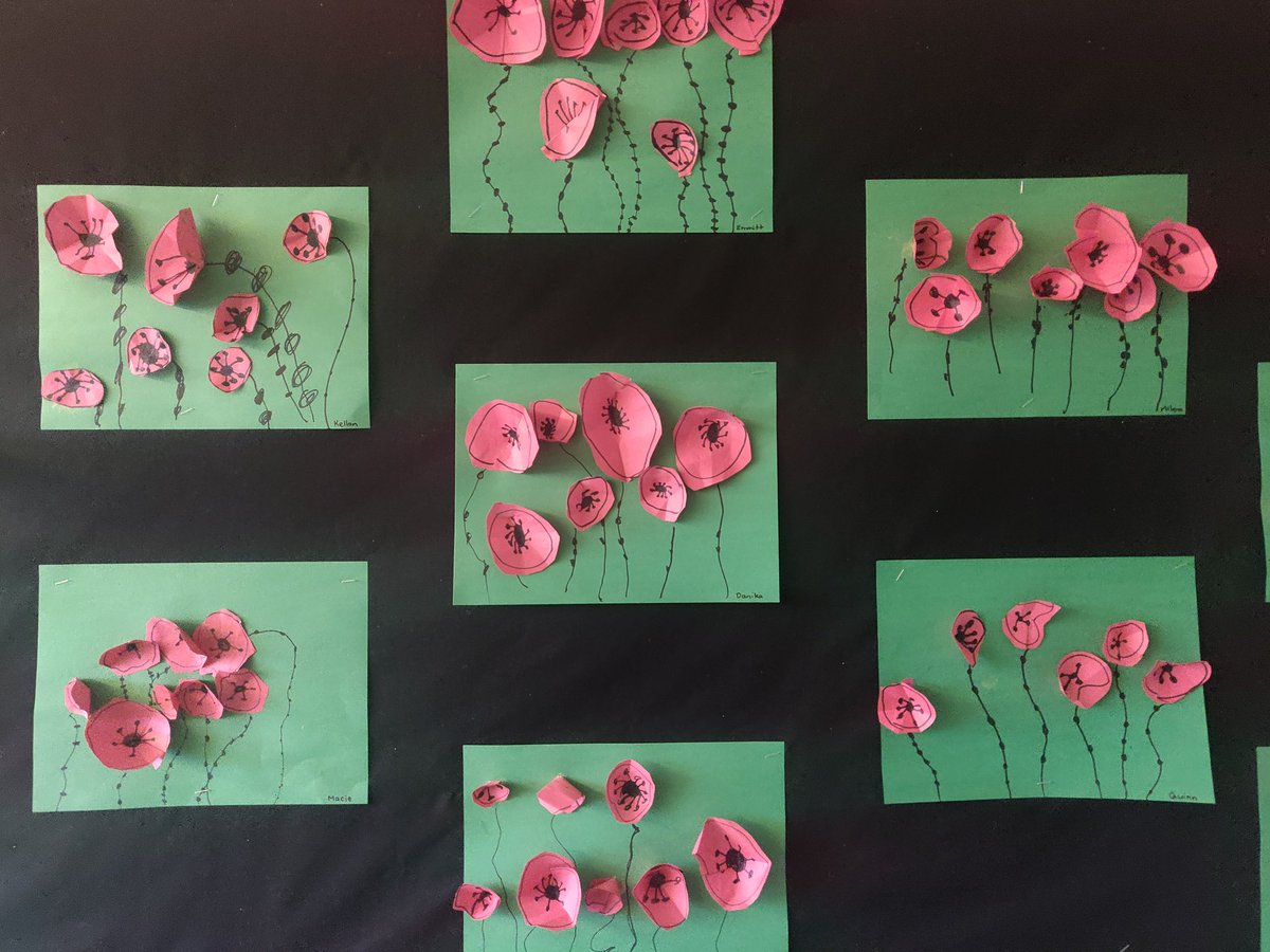 sonja1979's tweet photo. We remember #sd33learns #RemembranceDay2020 https://t.co/I9qKsThqdp
