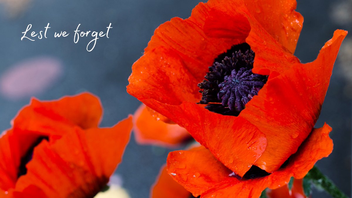snowflakeplace's tweet photo. Today we honour and remember all those who have served, and those who continue to serve, our country. https://t.co/4luZg0r84h