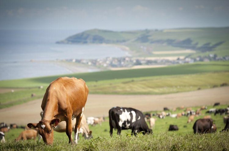 Glenapp001's tweet photo. Due to retirement , we are looking for an experienced Machine Operator /General Farm Worker to be part of our established and efficient team based near Stranraer in SW Scotland. 
Accommodation available on farm if required. 

For more details see https://t.co/cWV0Xv1vns. https://t.co/qLlrKjKjny