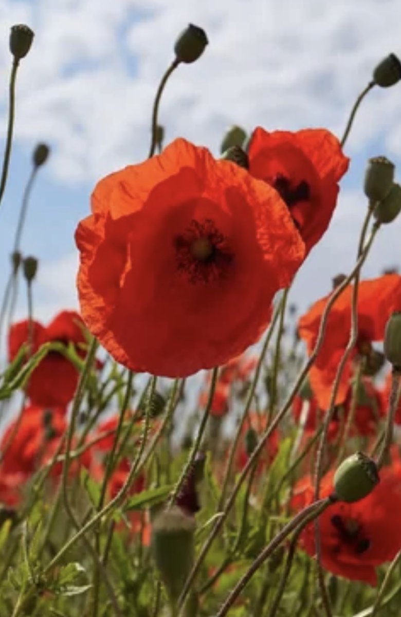 Emergency Physical Therapists tweet media