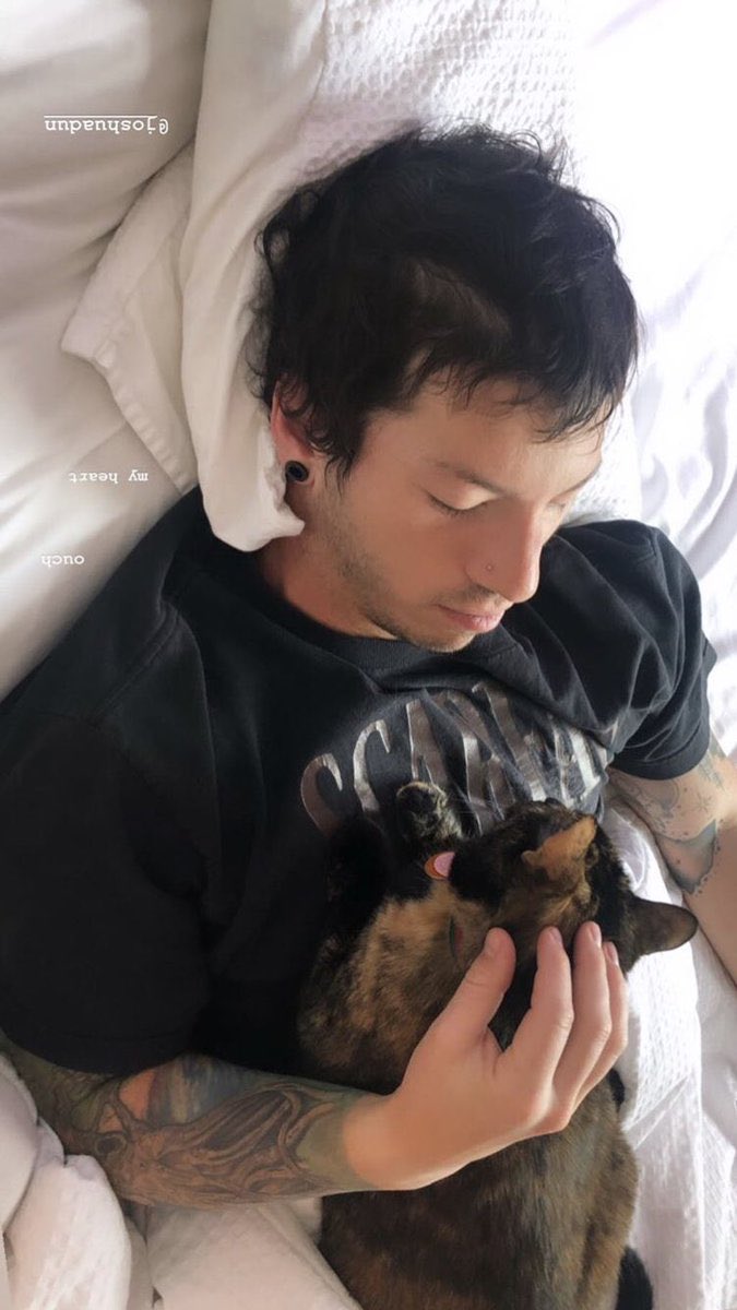 josh dun as otters: a thread