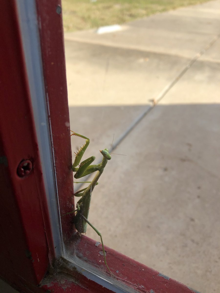 EVERYONE at Olle is “Praying” you have a wonderful day. 😕 #olleIMPACT #BringYourA-GAME ⁦<a href="/OlleMightyOwls/">Olle Middle CITGO Innovation Academy</a>⁩