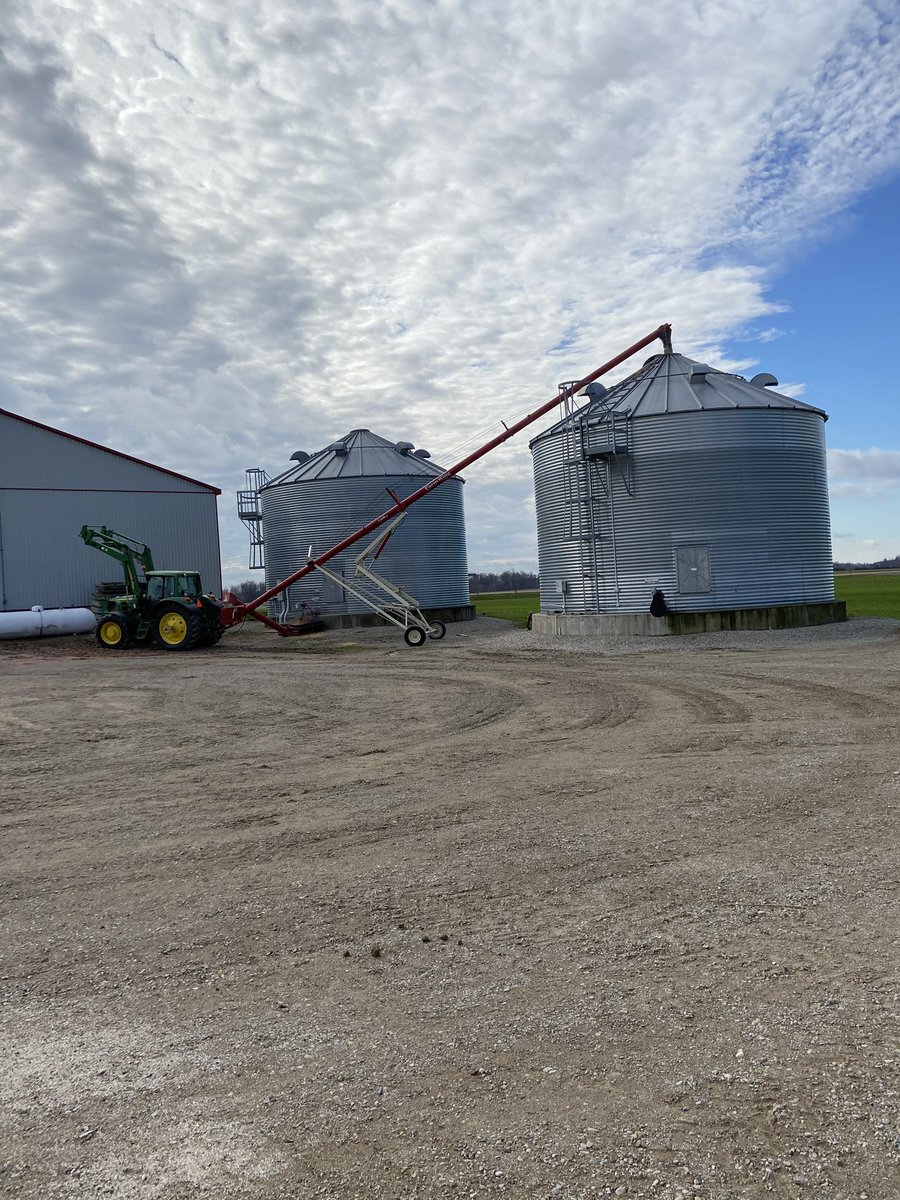 Transfer corn 🌽 from the dryer to the bin.