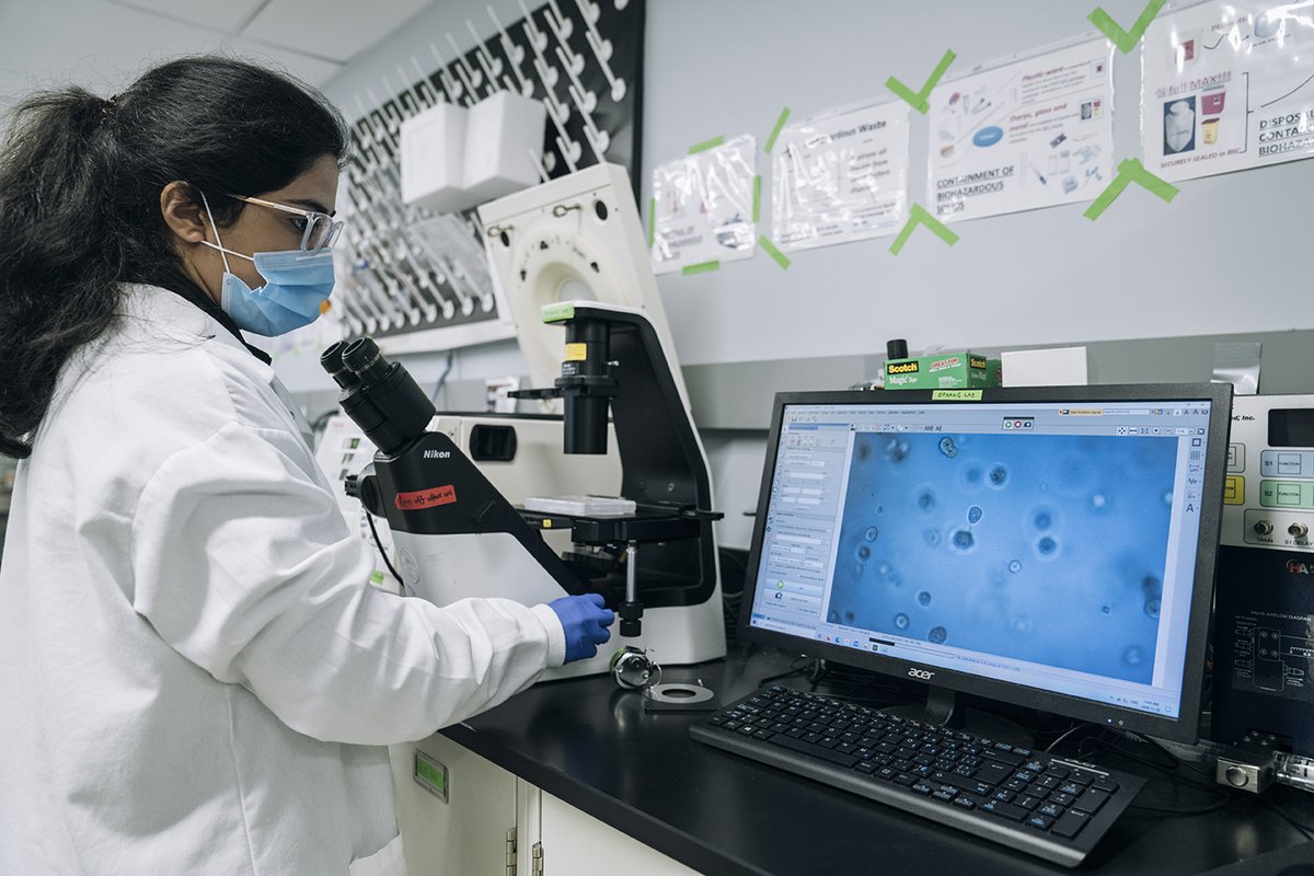 McMasterEng's tweet photo. Student researchers at #MacEng, supervised by @Mac_ChemEng assistant prof, @bzhang7, are paving the way for more accurate drug testing using machine learning and AI. 

Learn more: https://t.co/z1bJhnNp9m

#Machinelearning #ArtificialIntelligence #BrighterWorld #DrugTesting https://t.co/Omn8Ejw6YD