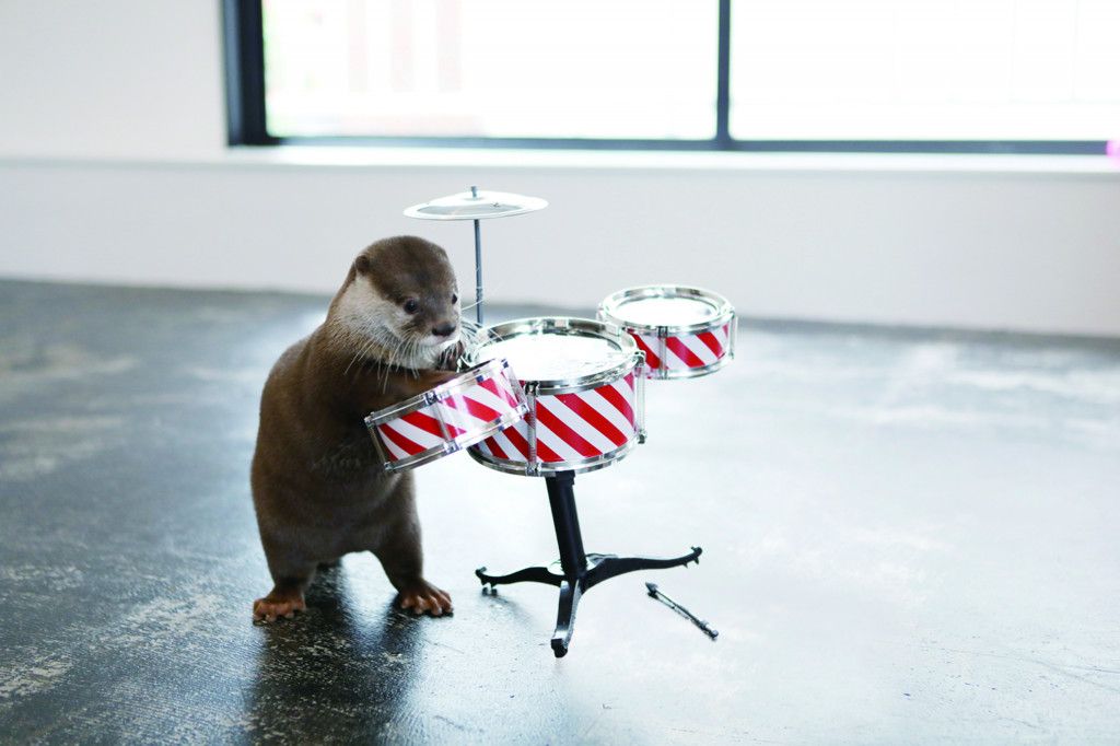 josh dun as otters: a thread