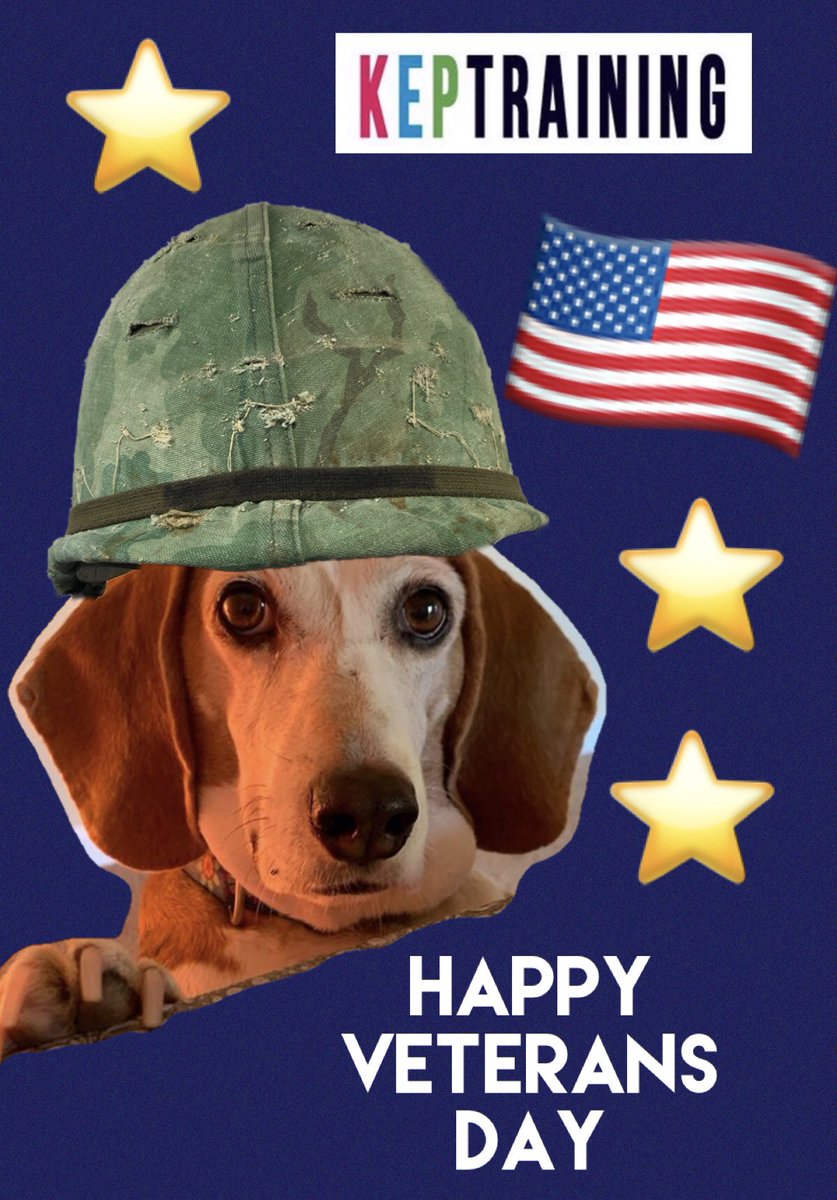 KEPTraining's tweet photo. Happy Veterans Day from all of us at KEP Training! Thank you for your service!  Cyber salutes you!!! #keptraining #kepcyber #VeteransDay @AnnaKepshire https://t.co/9cPuK2X2lX