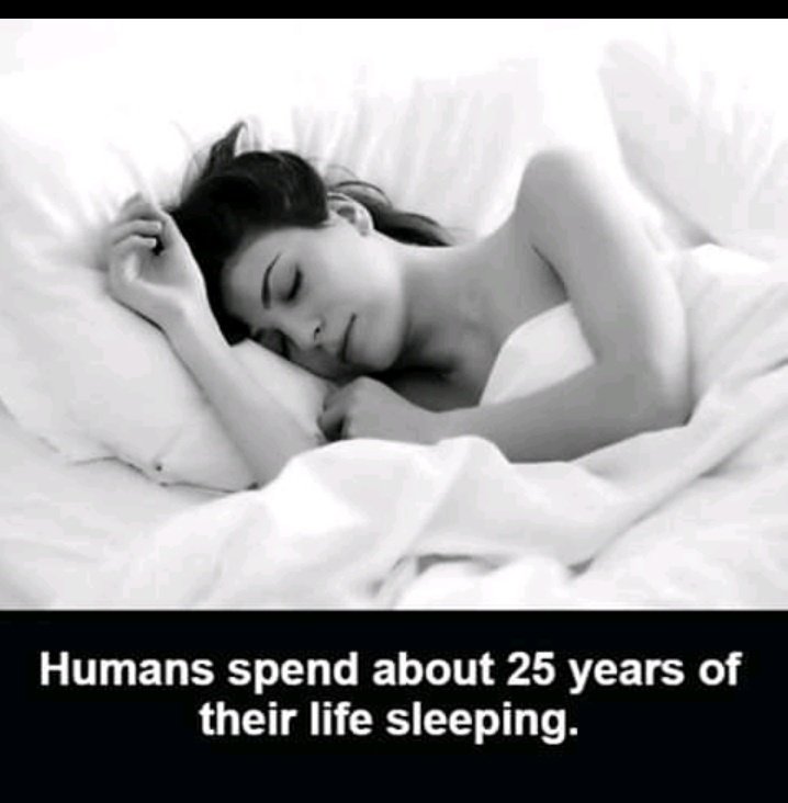 The last frame tho, I'm pretty sure I spend over 30 years of my life sleeping 