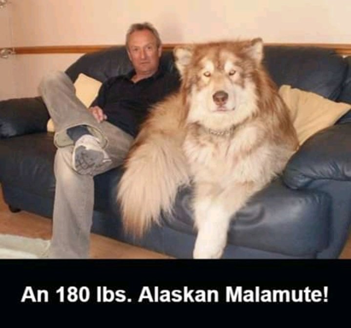 I'd take the last frame seriously if I were you 