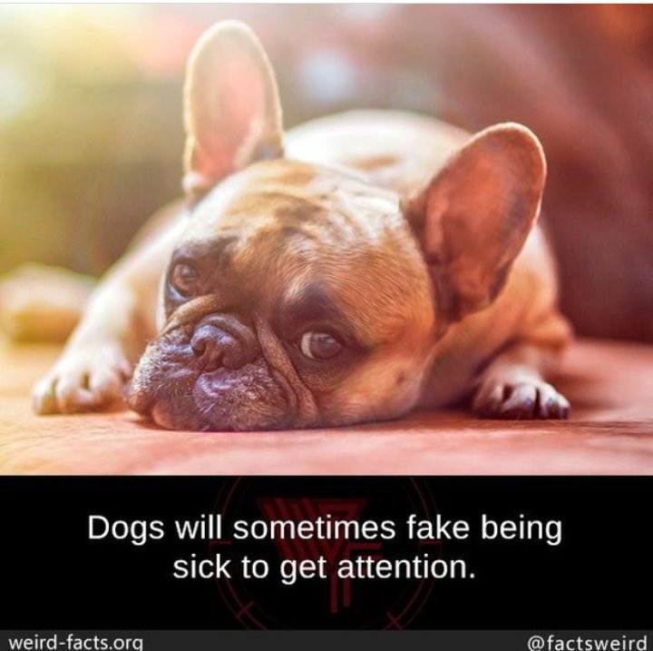 Frame 4 makes me question my childhood 