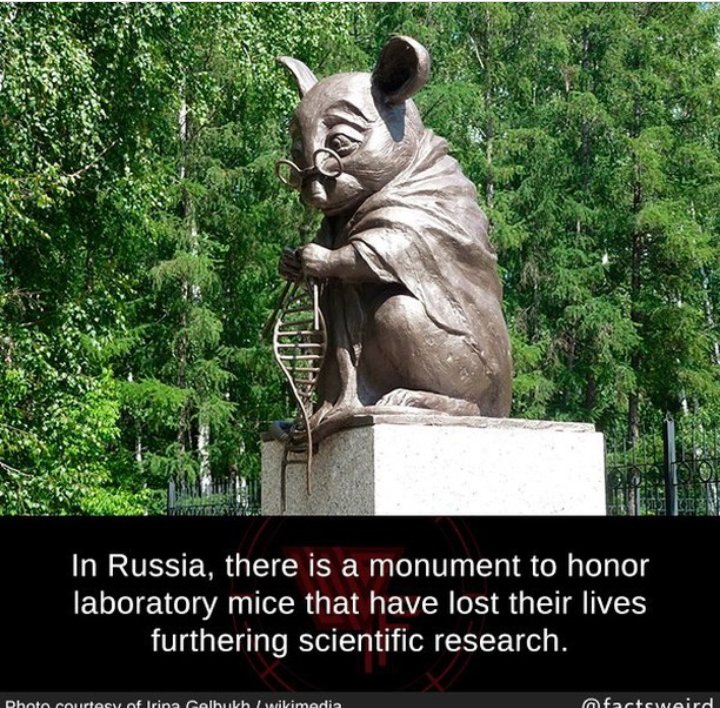 Frame 4 makes me question my childhood 