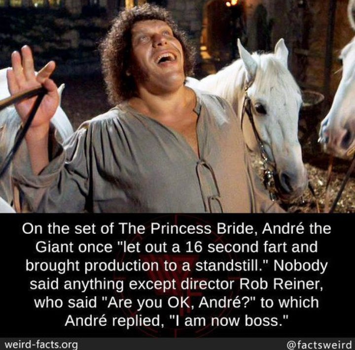 Weird huh? First and last frame got me rotfl