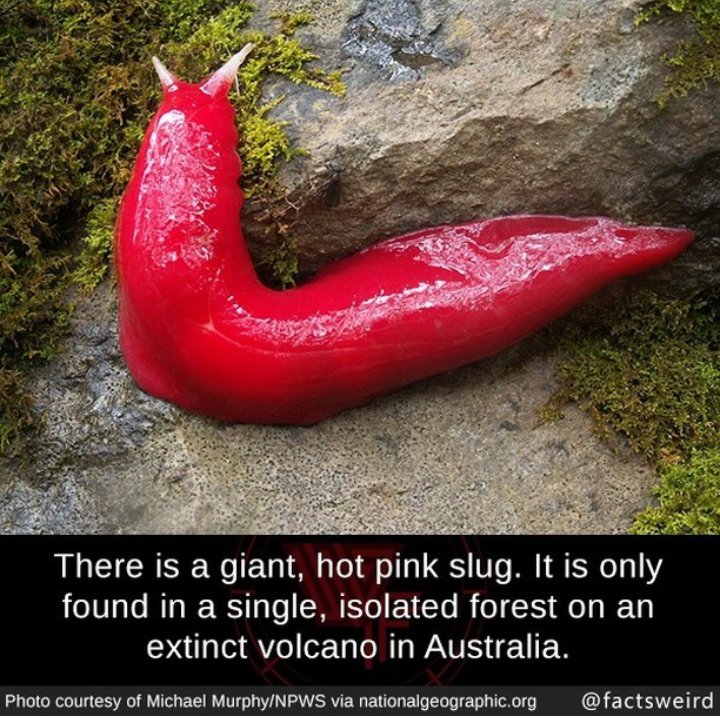 The second frame says it allThe last frame thowtaf!!!!!