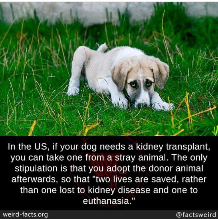 First frame is just adorable, don't you think? Last frame tho