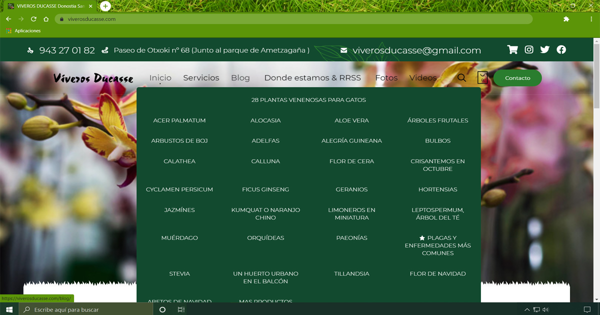Buenas tardes, como nos habéis pedido muchos clientes amantes de los gatos  hemos creado una sección en nuestra página web sobre plantas venenosas para los gatos.
Para acceder a la página tenéis que entrar en la sección de blog como sale en la foto.