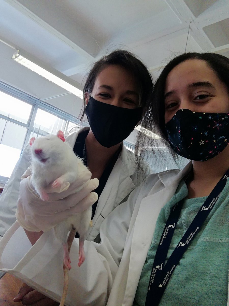 amylew_official's tweet photo. Interesting day at the lab๐ญ
#lablove #scientist #science #animals #dissection #natureconservation #conservationcourse #conservation #rat #cput #cputnatureconservation #student #southafrica https://t.co/JZhwqe3qwZ