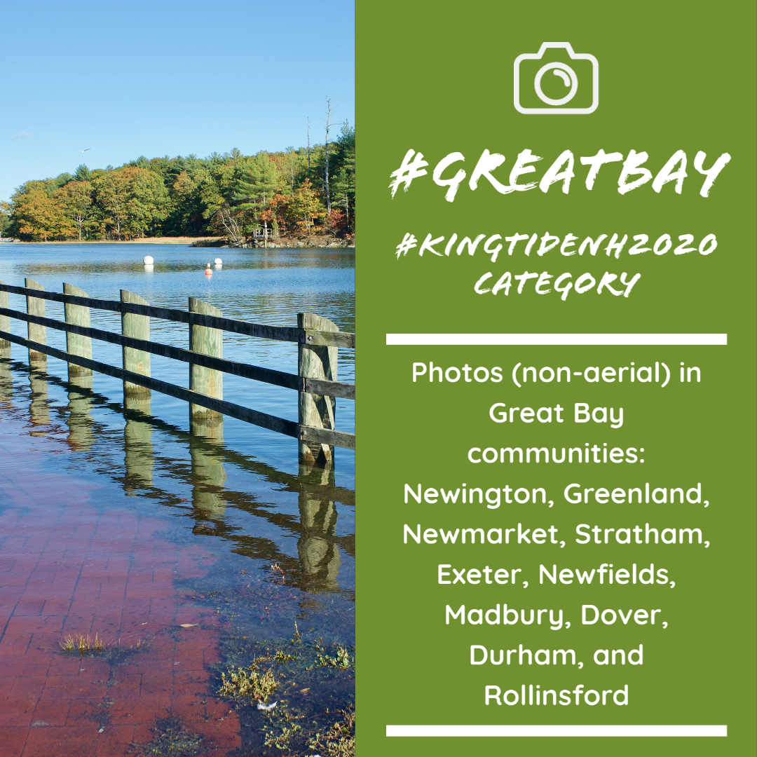 nhcaw's tweet photo. The #KingTideNH2020 Contest is this Saturday through Tuesday. What category are you entering? #Atlantic #GreatBay #Creative https://t.co/XU3162m1jU https://t.co/URsr1Lsrum